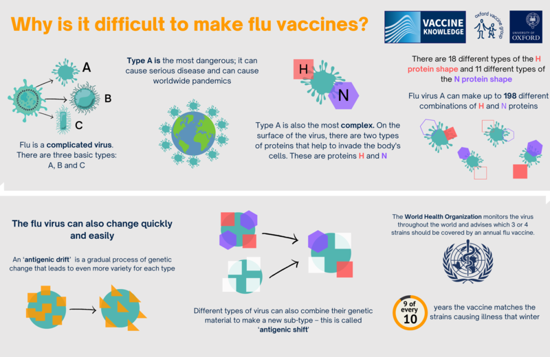 Flu Vaccine | Vaccine Knowledge Project