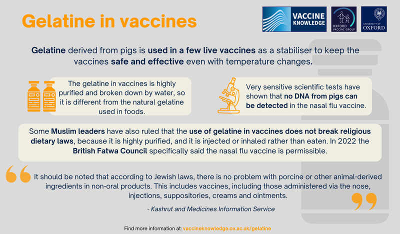 Gelatine and vaccines